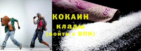 шишки Ладушкин