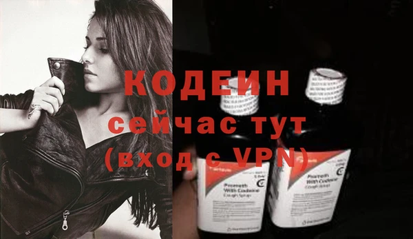 шишки Ладушкин