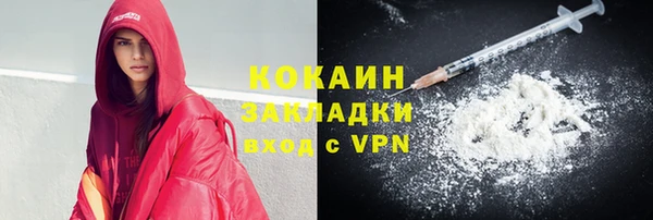 шишки Ладушкин