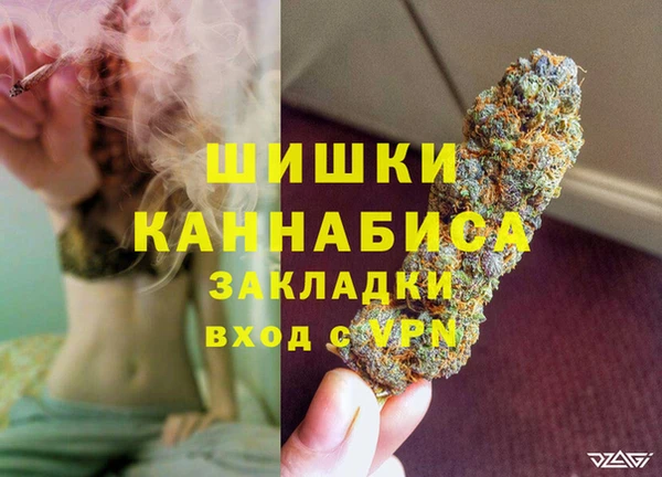 шишки Ладушкин