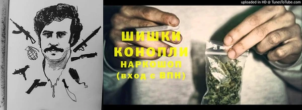 бошки Лагань