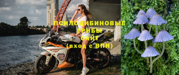 бошки Лагань