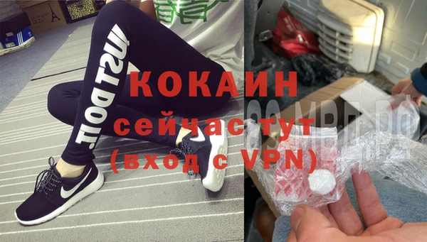 бошки Лагань